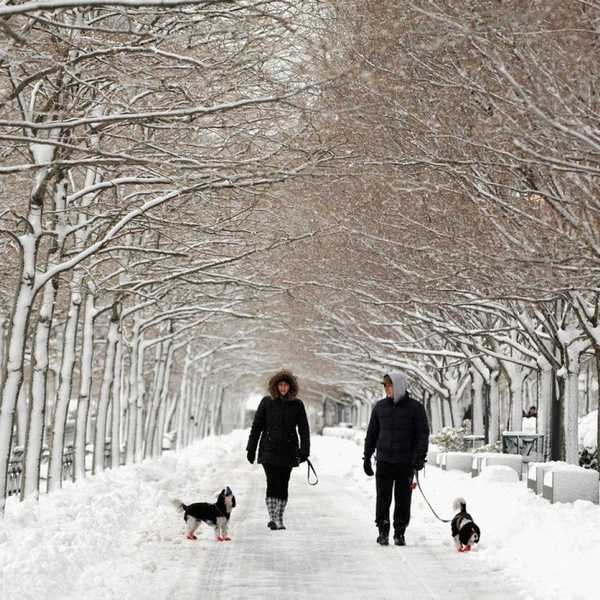 5 Things To Do In Bergen County This Winter