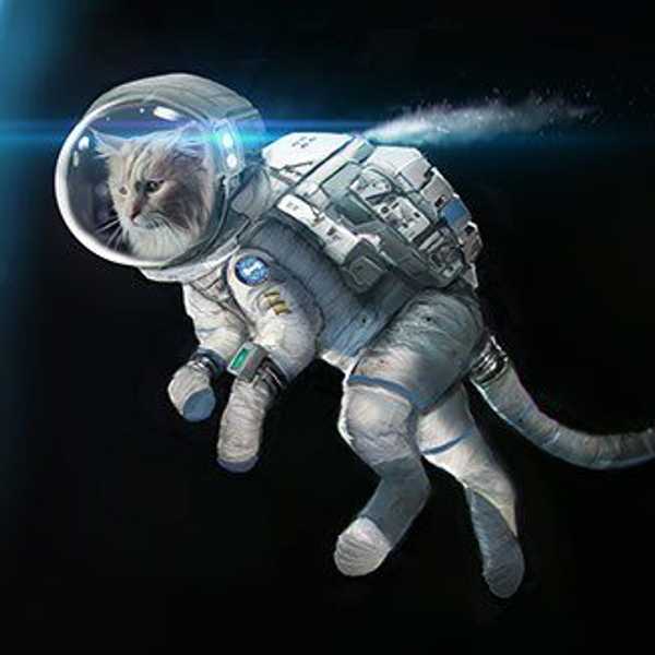 The Smallest Cosmonauts