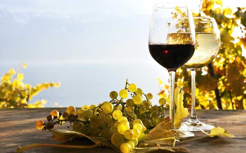 Wine Gadgets You Need