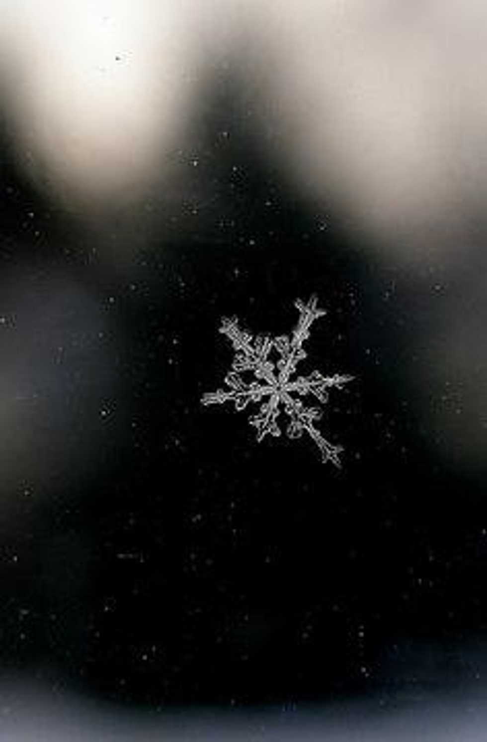 Open Letter To The Loved Ones Who Won't Be Here For The Holidays
