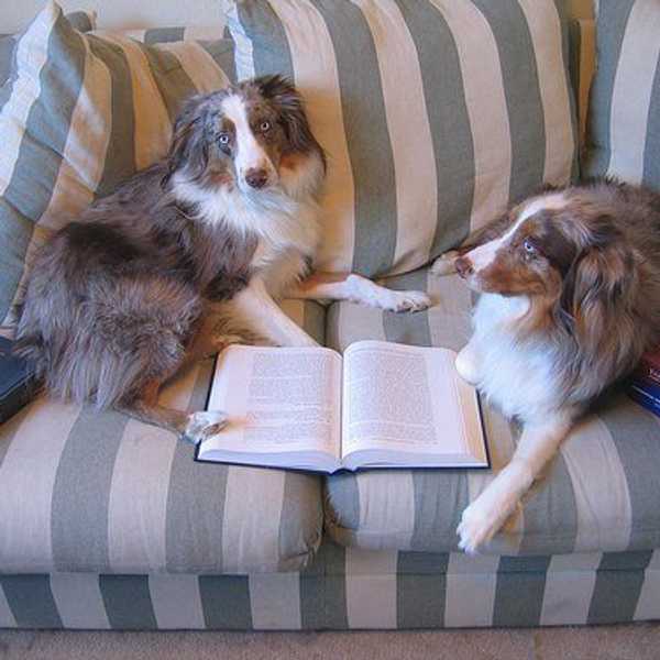 Aggieland's 10 Greatest Study Spots