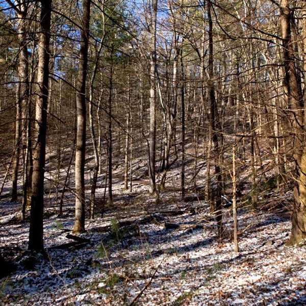 A Letter To Mother Nature