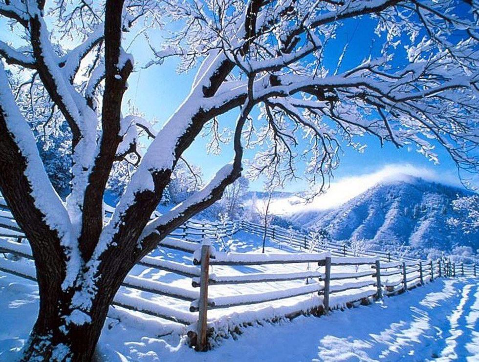 11 Things To Do During Winter Break