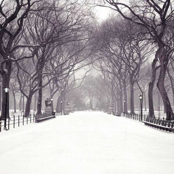An Open Letter To Winter Break
