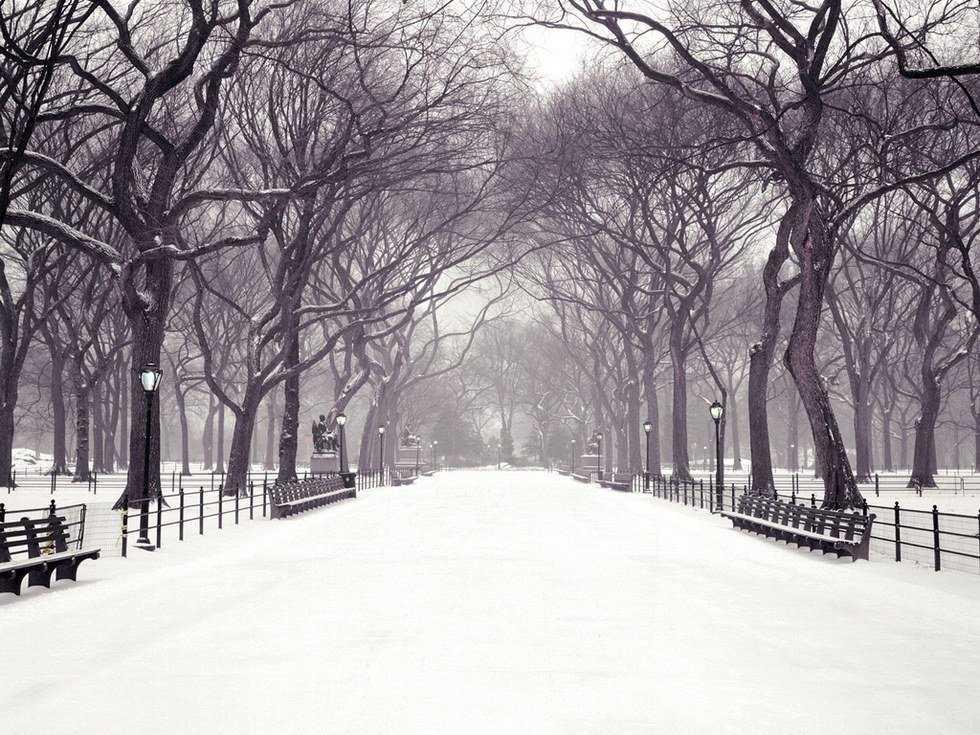 An Open Letter To Winter Break