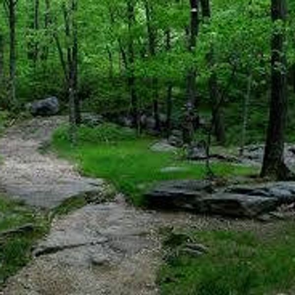 New Jersey: The Most Underrated Athletic State In The USA