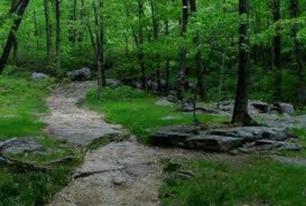 New Jersey: The Most Underrated Athletic State In The USA