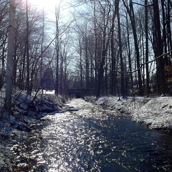 Things To Do During Winter Break