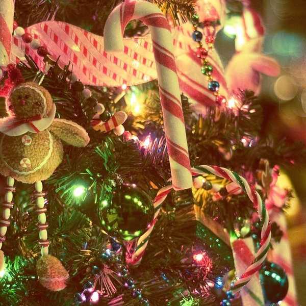 Reasons Why Christmas Is Important, No Matter What Religion You May Be
