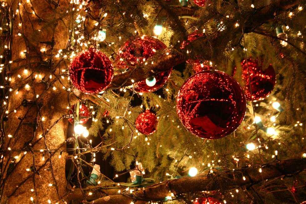 33 Thoughts We All Have During The Three Weeks Between Thanksgiving And Christmas Break