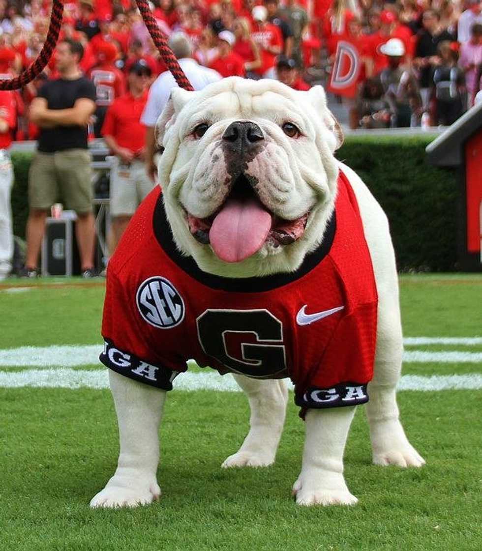 A Change Every Dawg Fan Agrees On