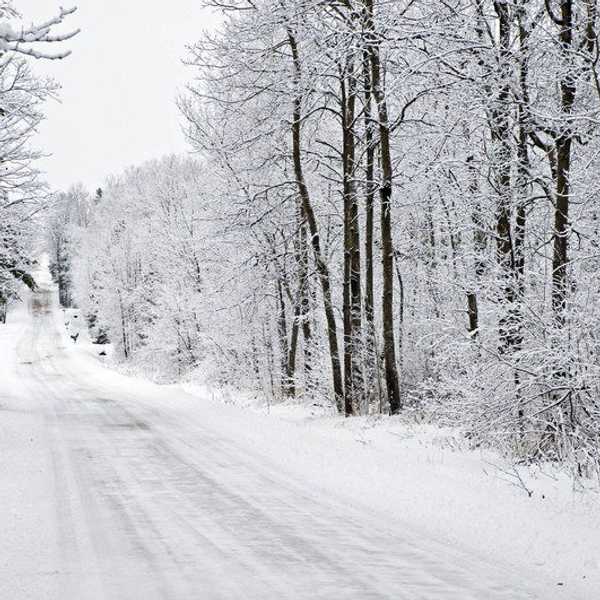 6 Ways To Make Your Winter Break Fulfilling