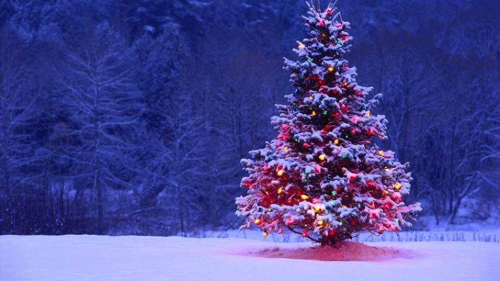 What I Love About The Holidays