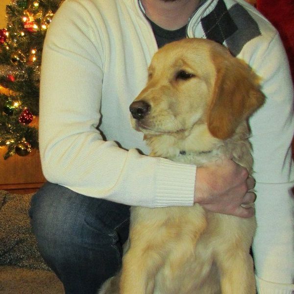 Unconditional Love Only A Pup Can Give