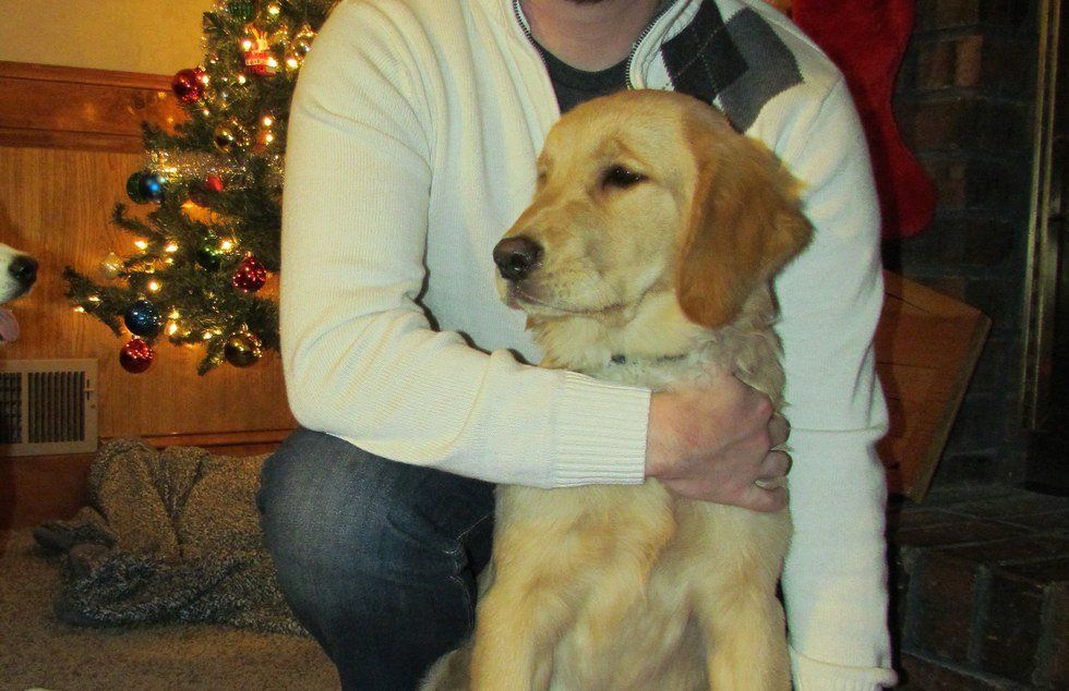 Unconditional Love Only A Pup Can Give