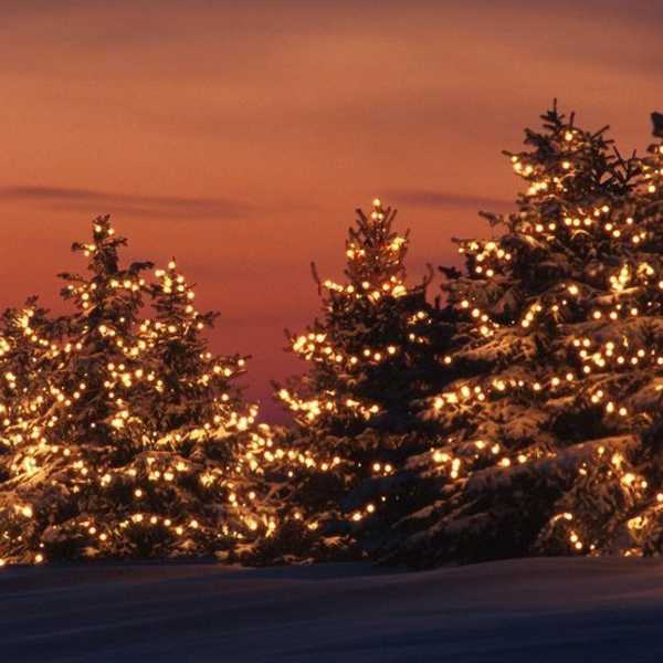 An Open Letter To Winter Break