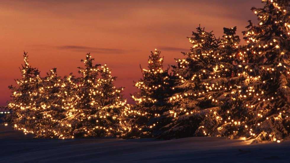 An Open Letter To Winter Break