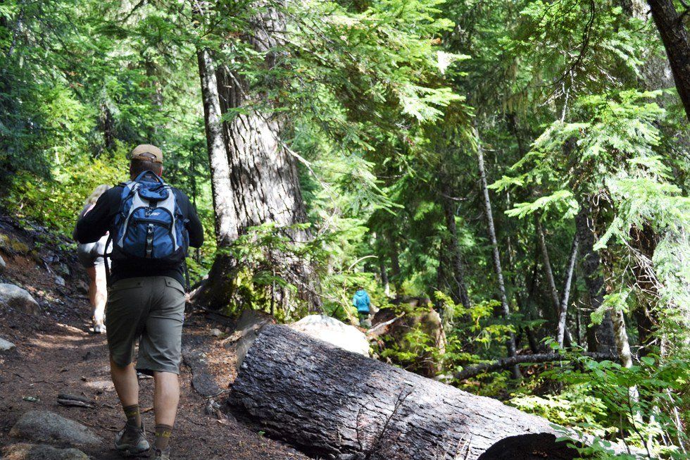 A Thank You Letter To My Dad