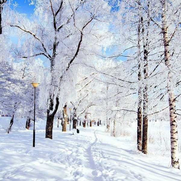 The Positive Aspects Of Wintertime