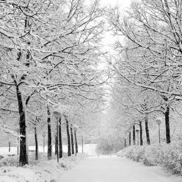 11 Ways To Be Productive Over Winter Break