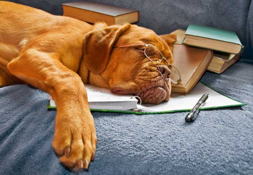 5 Ways To Stay Positive During Finals Week