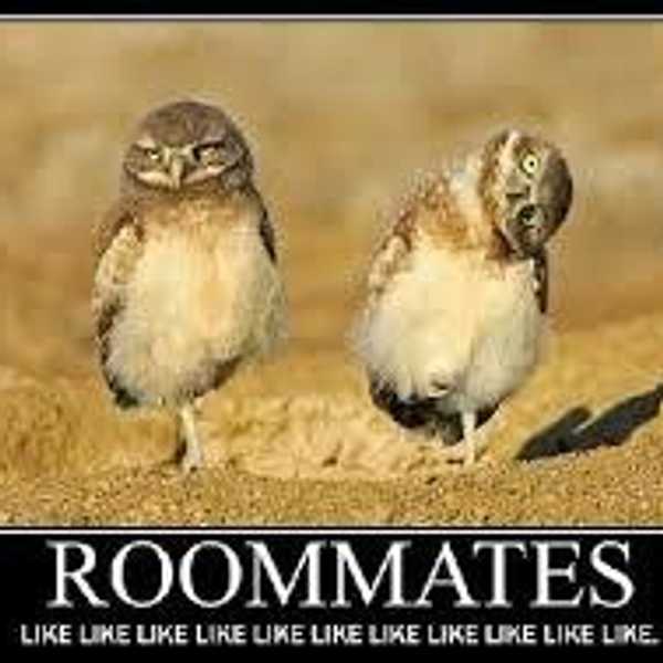 Making Your Roommate Your Sibling
