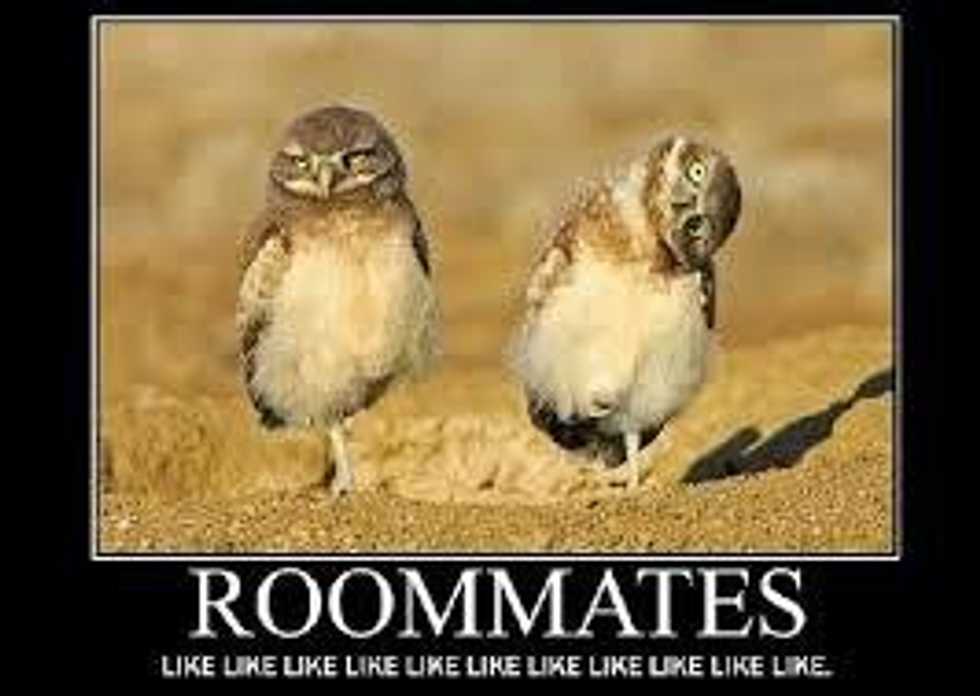 Making Your Roommate Your Sibling