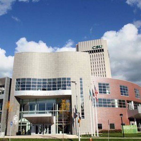 What My First Semester Of College Taught Me