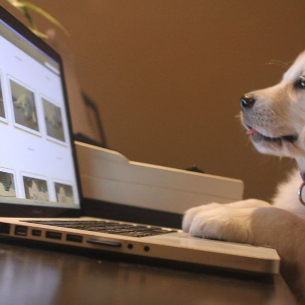 11 GIFs To Get You Through Finals