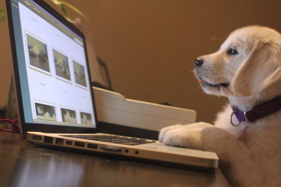 11 GIFs To Get You Through Finals