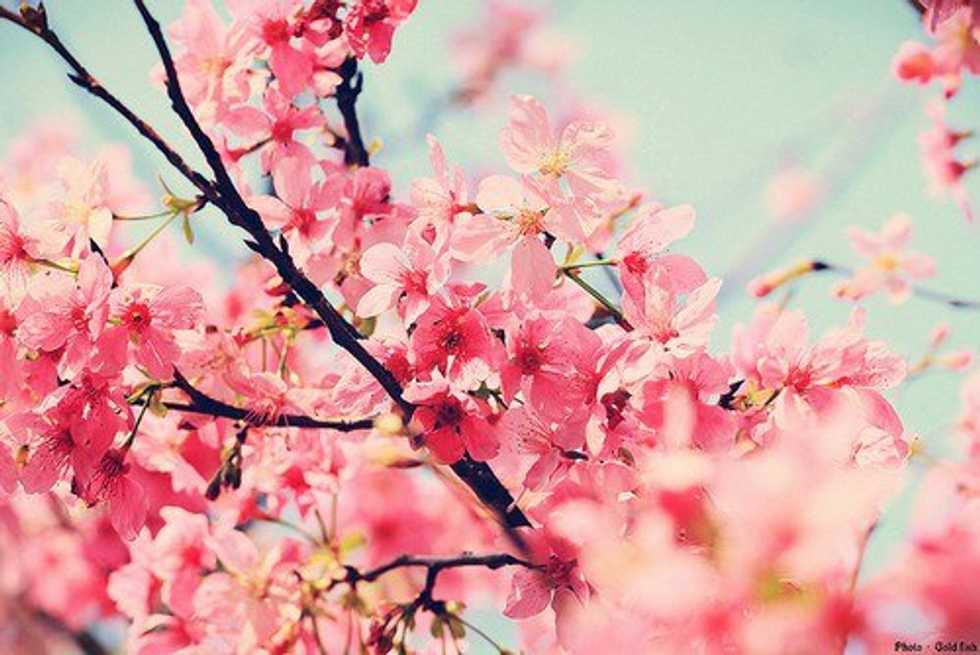 Combating Perfectionism