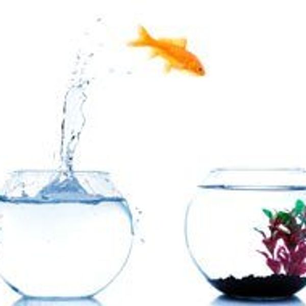 10 Struggles of Being a New Transfer Student