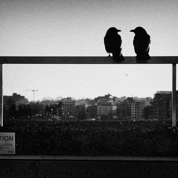 An Open Letter To The Person Behind The Gun