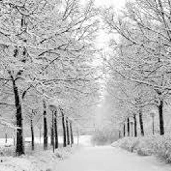 A Love Letter To Snow