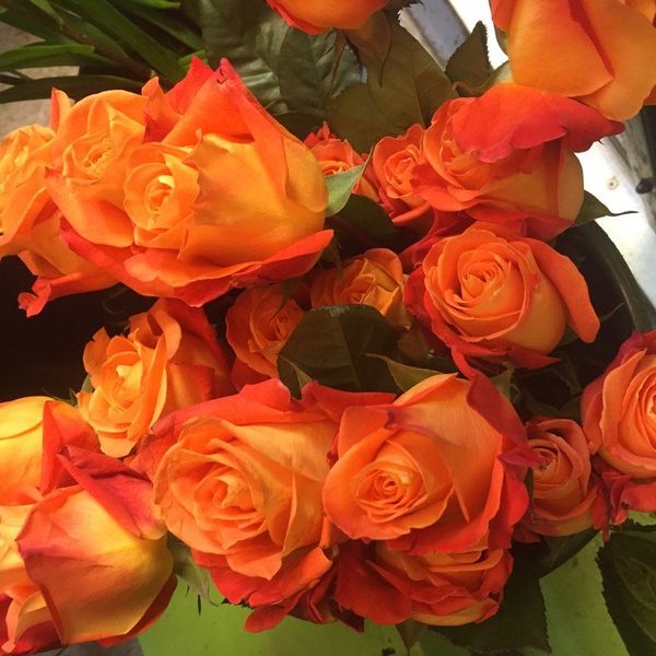 How To Meet People In Real Life: 8 Tips To Attract Potential Love Interests