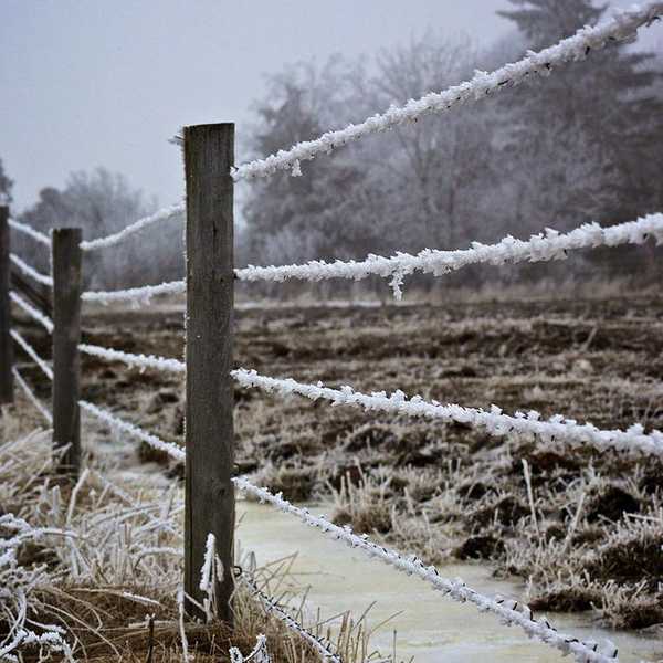 5 Reasons Why Winter Is Better In The South