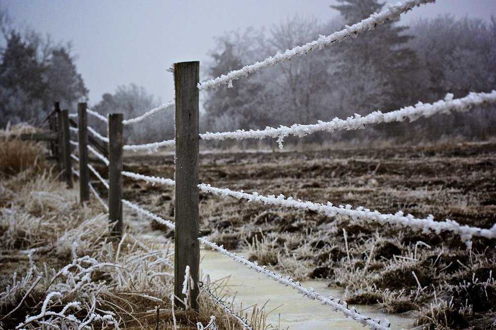 5 Reasons Why Winter Is Better In The South