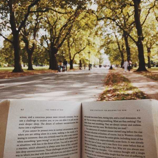 25 Identifiable Traits Of An English Major