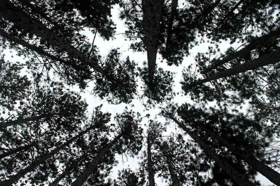 5 Problems With Social Media And Technology