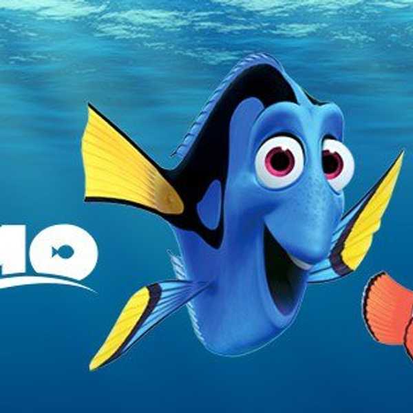 20 Signs it's the End of the Semester (As Told by Finding Nemo)