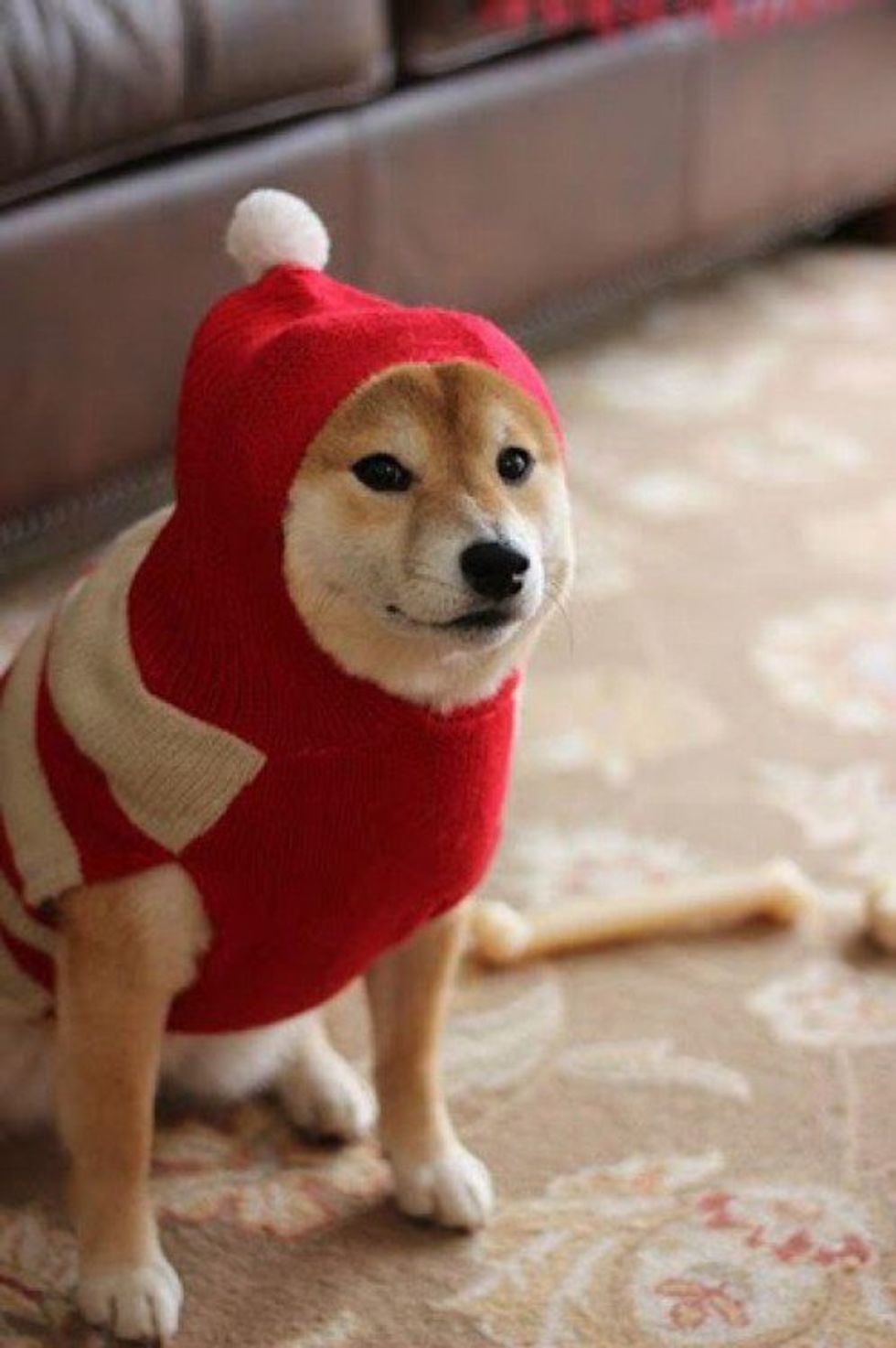 T'was the Week After Thanksgiving...