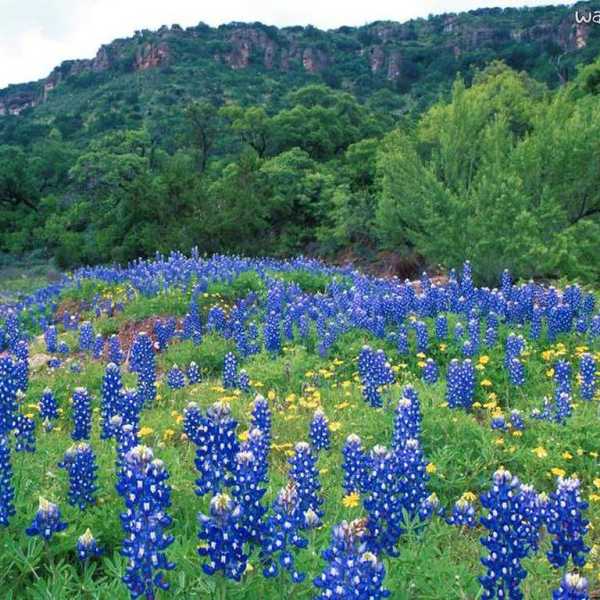 Things That Happen When You Move From Texas To The Midwest