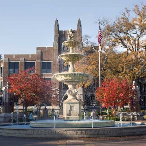 College From The Eyes Of A Freshman