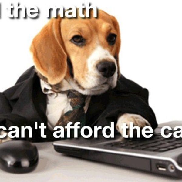 Why Dogs Are Better Than Cats