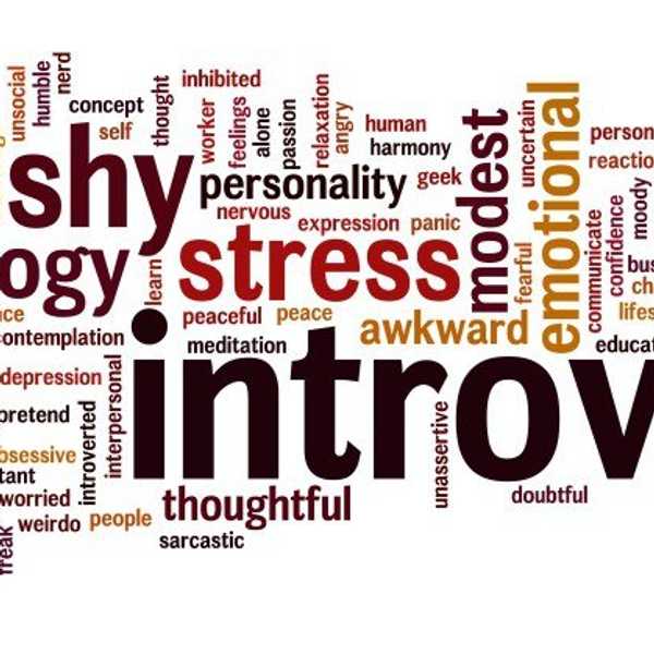 The 20 Truths Behind Most Introverts