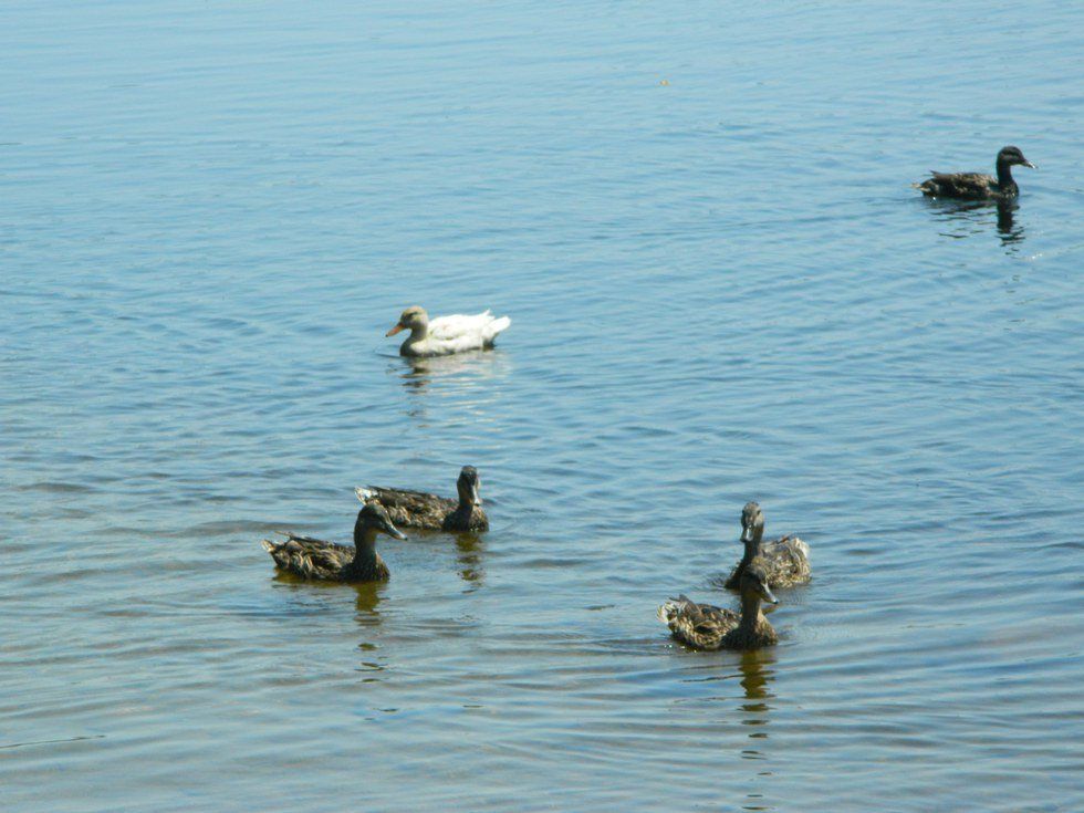 An Open Letter To My Ex-Best Friend