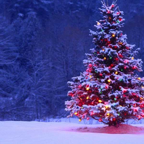 Good Things To Do This Holiday Season