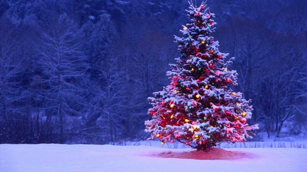 Good Things To Do This Holiday Season