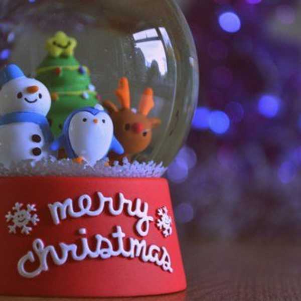 Guide To Christmas Season During Finals