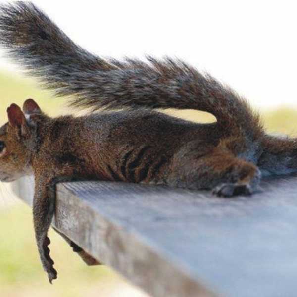 Learn How To Relax